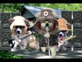 Osaka Popstar - Insects