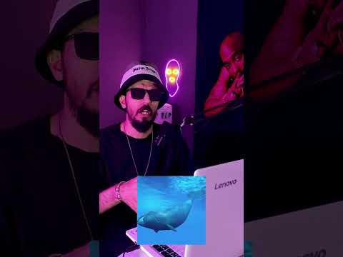 فکتی از موزیک جدید چرسی به نام ۵۲ هرتز الهام گرفته از تنها ترین نهنگ دنیا 🐋 #shorts #chvrsi #چرسی