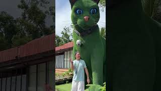 Download lagu This cat is actually alive!🥰 #funny #cats #catvideos #tiktok #social #usafunny #catlovers #funpage mp3 Download lagu This cat is actually alive!🥰 #funny #cats #catvideos #tiktok #social #usafunny #catlovers #funpage mp3
