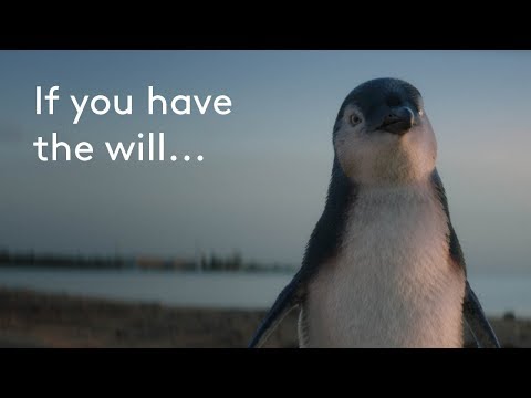 If You Have The Will, We Have The Way