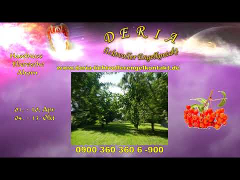 26.08.2019 Das keltische Baumhoroskop - Dein Seelenbaum 5.Teil: Haselnuss, Eberesche, Ahorn