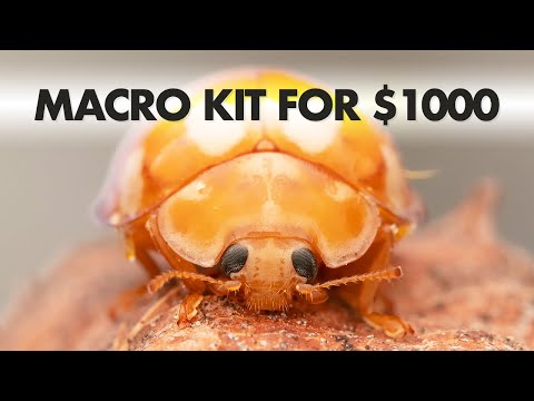 The Best COMPLETE Insect Macro Photography Kit under $1000