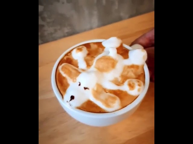 Vídeo relacionado con Kembilove Taza de Desayuno Personalizada con Foto de Perro Mestizo - Taza de Café y Té para Mascota - Cerámica Impresa