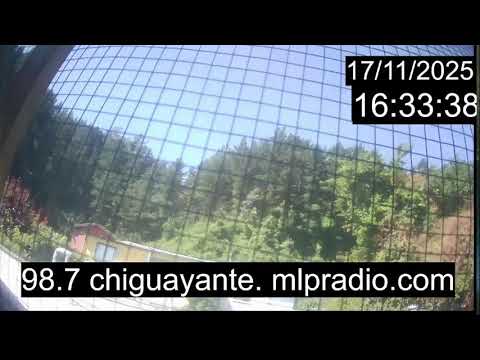 Chiguayante Bio Bio Chile, en Vivo. Live Cam, Camara en vivo.