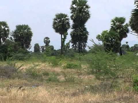 \\Sbc\f\land videos 22-04-2011\50 cents.m2p