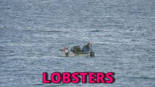 Checking the Lobster Pots 20260515 Hope Cove