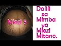 Dalili Za Mimba Ya Miezi Mitano 5 Mimba Ya Miezi Mitano