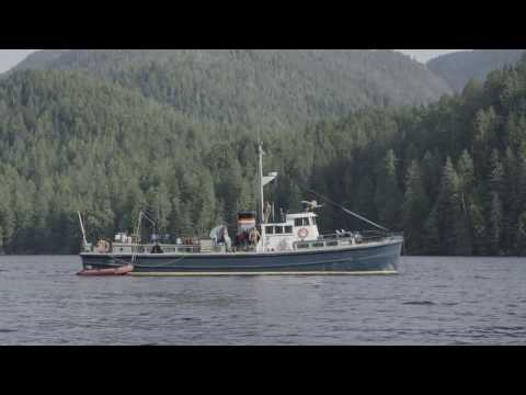 Volume 11: "Hellbound In Clayoquot Sound"