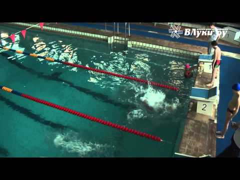 ВЛуки.ру: В Великих Луках прошли соревнования по плаванию «Весёлый дельфин»