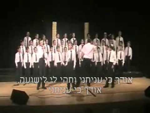Pirchei Modiin Hanuka 5771 (2).wmv