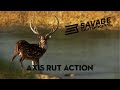Savage Outdoors - Axis Rut Action