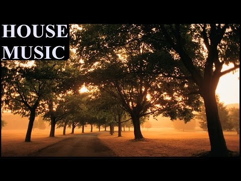 Denjy - Waste All My Love (Ft. Molly) [JompaMusic Release]