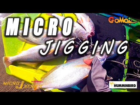 UNLOCK NEW SPICIES ON MICRO JIGGING #101