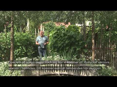 Plantera med John – Rum