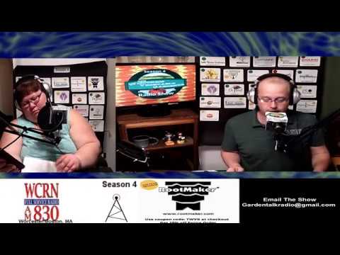 S4E2 What are Heirloom organic, Hybrid, GMO seeds? Companion planting does it work? Guest Joe Lamp'l