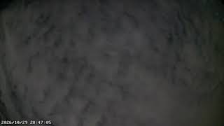【LIVE】神奈川県横須賀市・三浦半島ライブカメラ｜天気・星空・流星群・火球｜真上の空｜テスト live webcam