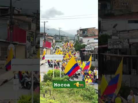 En Mocoa Putumayo están más que firmes con el tigre. 🫡🐅