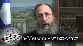 Weekly Torah Portion:  (Shemini) Tazria-Metzora