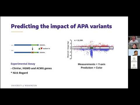 Kipoi Seminar - Johannes Linder (University of Washington)