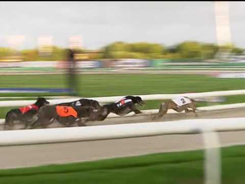 2017 BETFRED 500 STANDARD - T3 DROOPYS DROPZONE