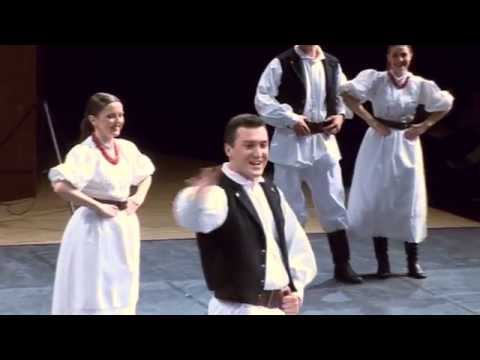 Zfa dr. Ivana Ivančana "Zagorski drmešari"