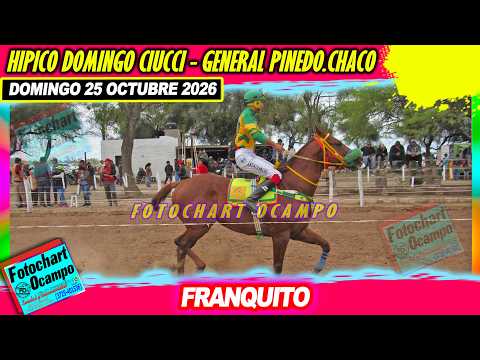 FRANQUITO General Pinedo CH 25 10 2026
