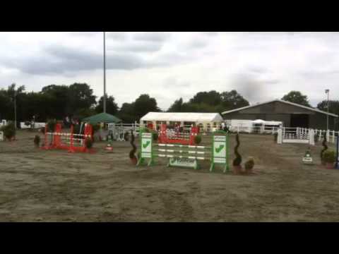 6 jähriger Holsteiner v. Clarimo