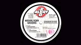 Natural Born Grooves - Groovebird (Aural Satisfaction Remix)