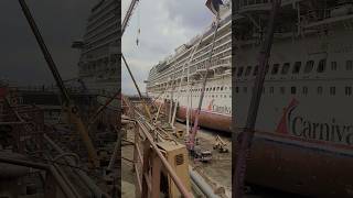 Beautification in Progress  #mykingdom #amazing #drydock #seaferer #cruiseship #busydays #dream #sea