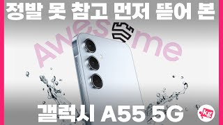 삼성전자 갤럭시A55(퀀텀5) 256GB, 자급제 (램12GB,해외구매)_동영상_이미지