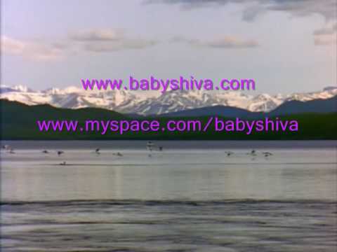 Baby Shiva - Circus  -video-