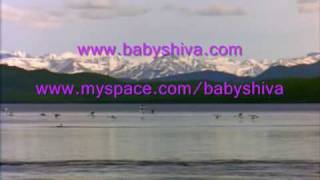 Baby Shiva - Circus  -video-