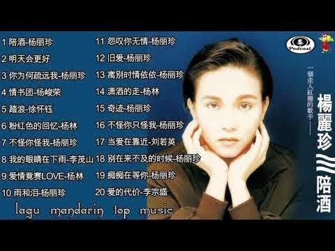 Lagu Mandarin Pei jiu yang li zhen 陪酒 杨丽珍