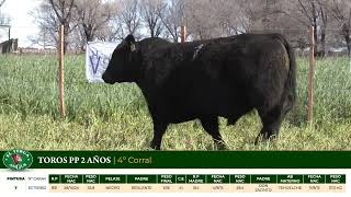 3 Toros PP 2 años - Gregorio Aberasturi - Plaza Ganadera