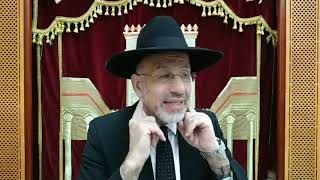 La soucca et le retour a la nature d Elokim