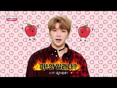 【HD韓中字】170830 Show Champion 야 해줄게 1 (wanna one ver.)