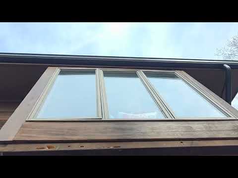 Wooden Home Wrecked by Carpenter Bees in...