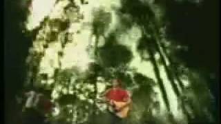 Paul McCartney - Mother Nature Son Live