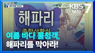 [KBS부산] 풀뿌리 해양K