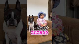 準備万端の2歳児👶✨ 【こむこまつり】 #shorts