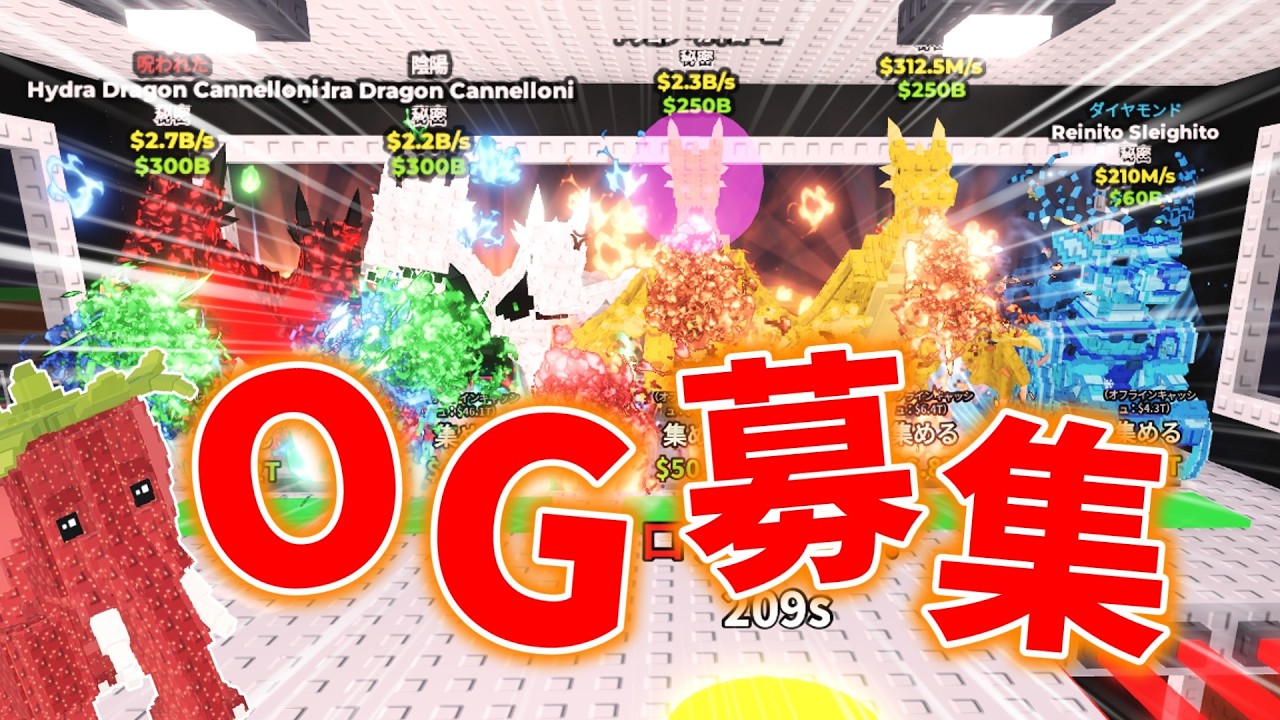 【LIVE】OG募集してます!!