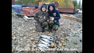 Рыболовные базы в карелии на сегозере