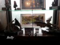 WETA CAVE Jul Sun 22 2012 Lotrs Collections On Display