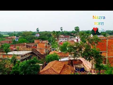 VILLAGE NATURE || NAZRA MADHUBANI..❤️🌴