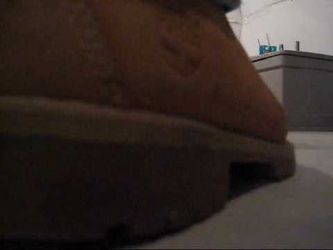 The Killing Of Anthony Maio