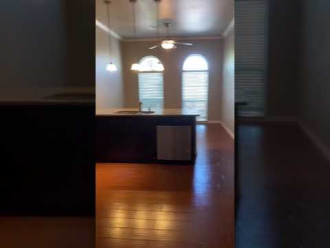 Magnifico Walk Through ✨