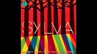 Sylva - Snarky Puppy & Metropole Orkest