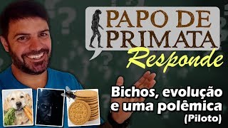 Bichos, evolução e uma polêmica - Papo de Primata Responde (piloto)