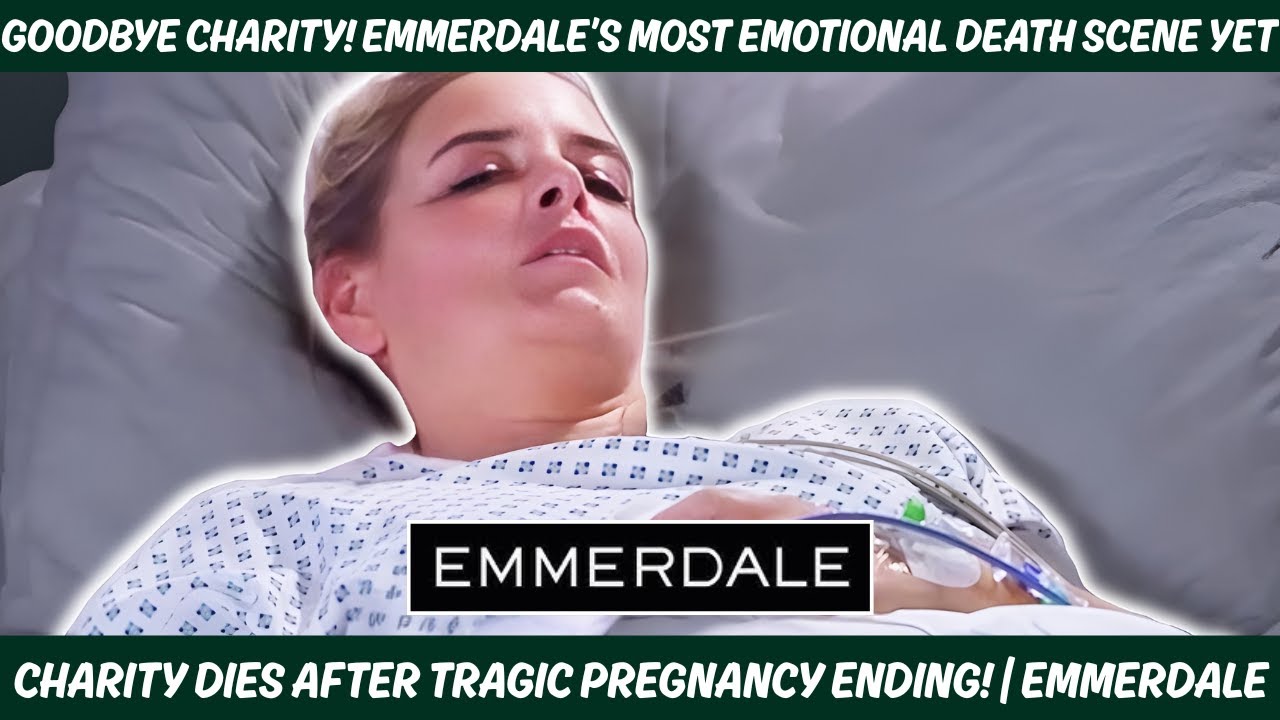 YouTube Thumbnail Downloader FULL HQ IMAGE