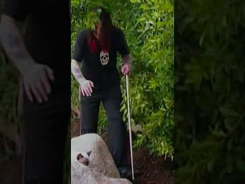 Ozzy Osbourne looking for a cat